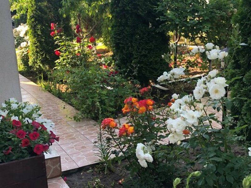 Vila - parter + mansarda -   Sendreni,  jud. Galati - Poză 9