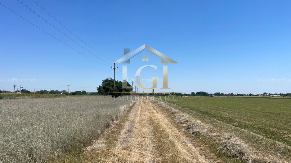 🌿 Teren de vânzare – Tărtășești ,12500 E - Poză 4