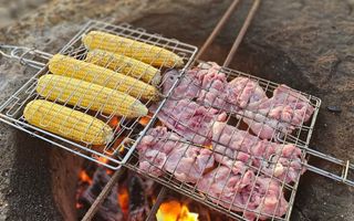 Containere amenajate în regim hotelier, lângă Lacul Chirița, Dancu - Iași - Poză 6