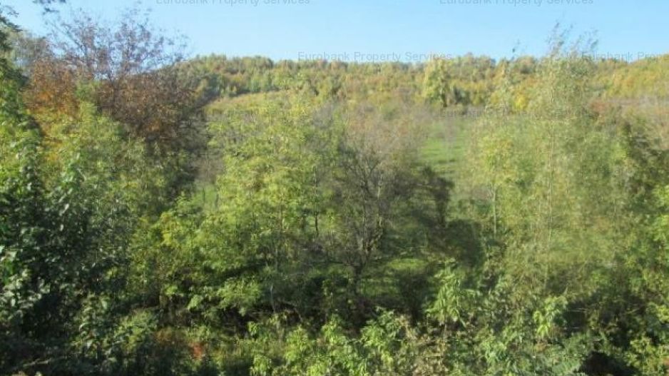 Teren Stefanesti sat Valea Mare - Poză 3