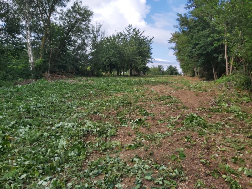 Teren zona montana in com.Turcinesti Jud.Gorj - Poză 2