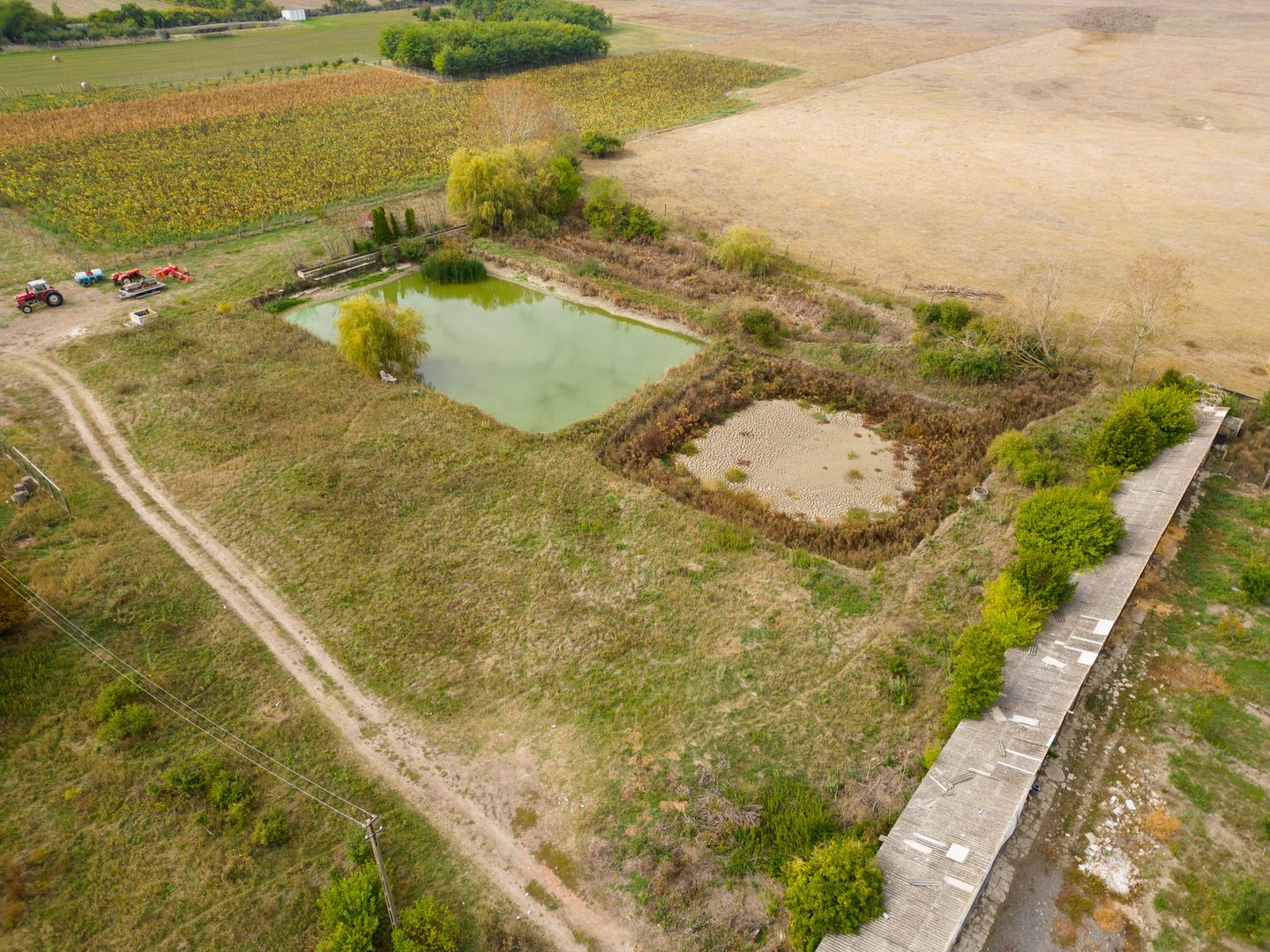 Teren intravilan cu iazuri și casă - Chișineu-Criș - Poză 6