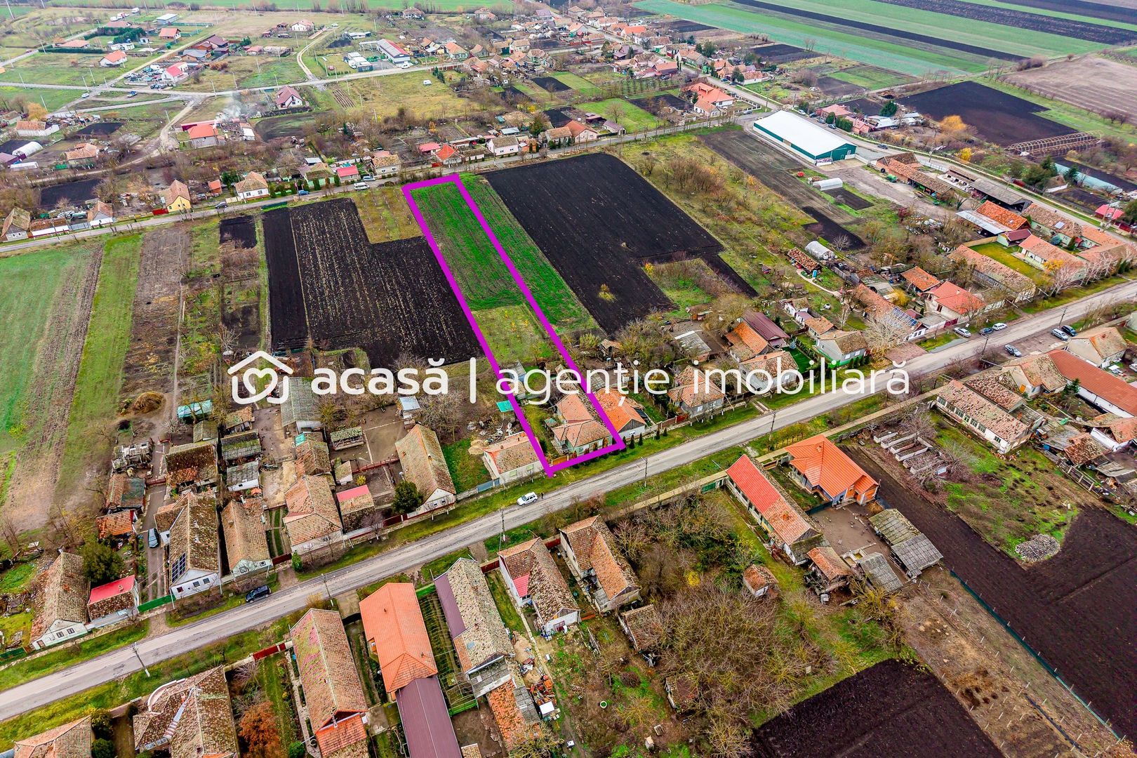 Casă + livadă tânără + curte 2.500 mp în Dorobanți - Poză 7
