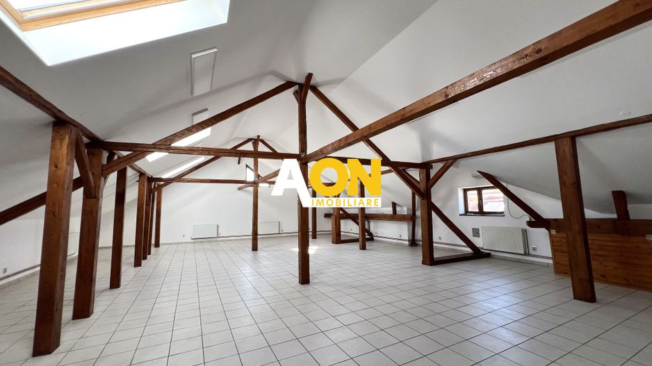 Spatiu de birouri, 220 mp utili, Centru, zona Tribunal - Poză 6