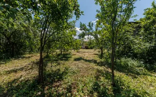 Casa cu teren - Prundu-Ideala pentru locuit sau dezvoltare imobiliara - Poză 15