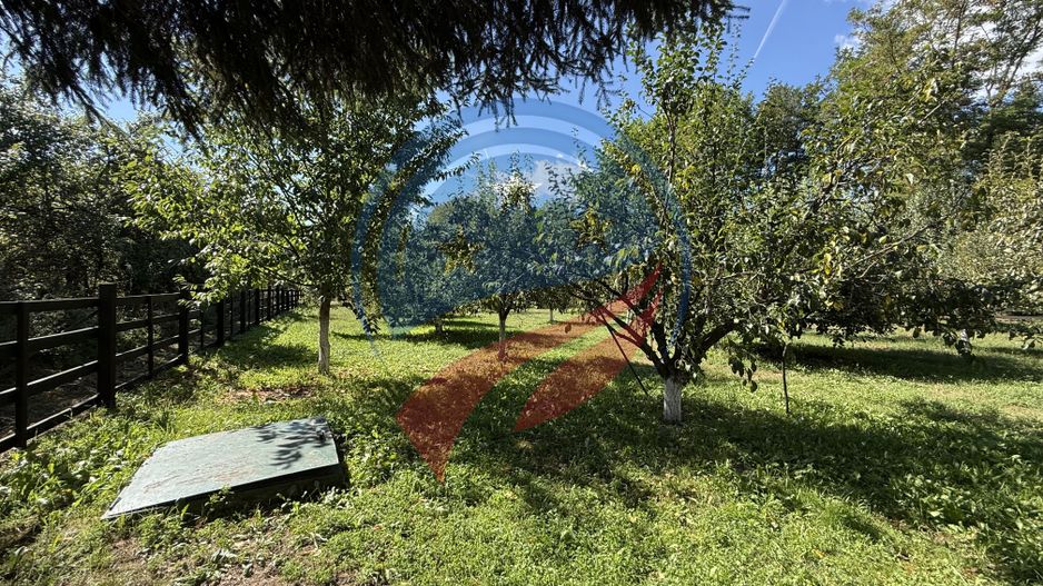 CASĂ DE VÂNZARE – MĂLURENI, JUDEȚUL ARGEȘ | 154 MP | TEREN 2.100 MP - Poză 40