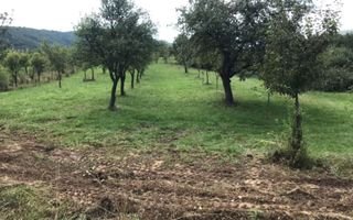 Teren extravilan - Sibiel, Sibiu - Poză 2