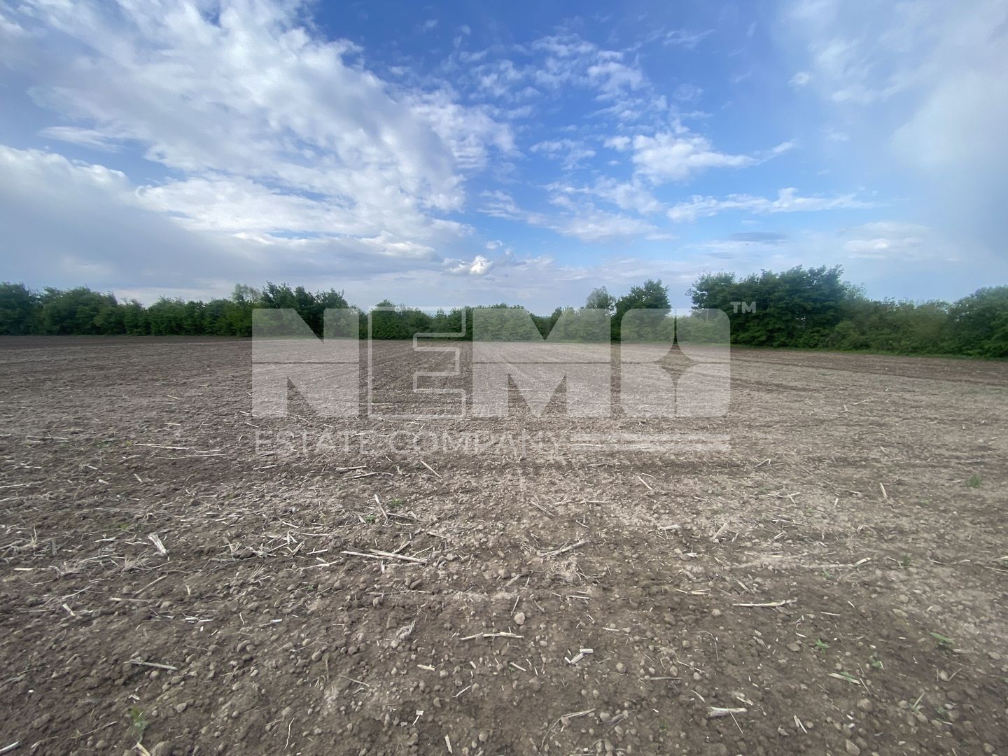 Teren Extravilan | 50 Ari | Horodnic De Jos - Poză 2