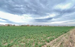 Teren premium 4000 mp – Cartier Grigorescu - Poză 3