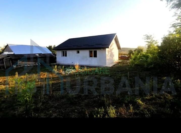 Casa cu teren Erbiceni IS - Poză 3