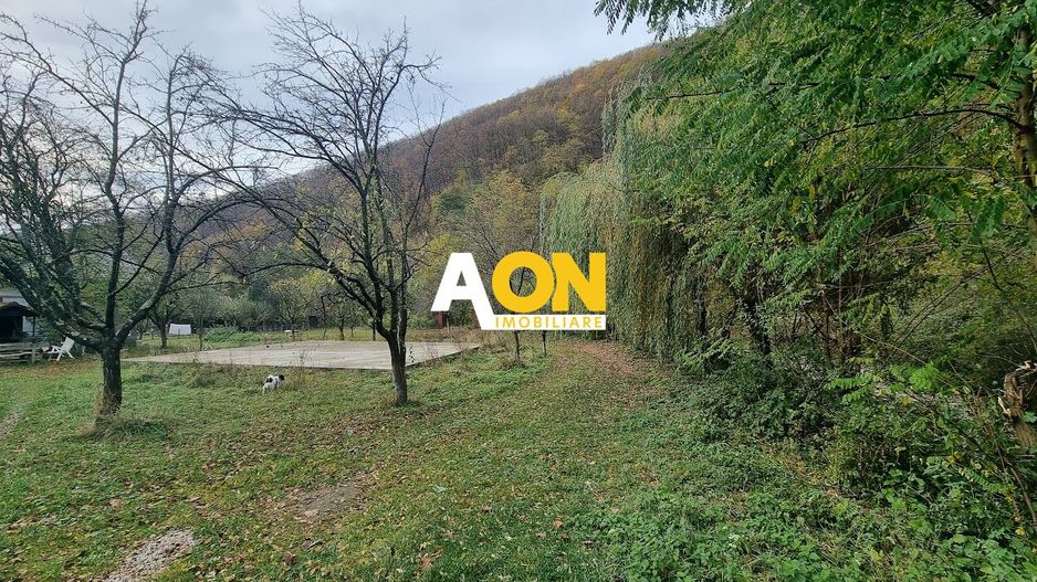 Teren Intravilan de Cabana, Placa Turnata, Ramet - Alba Iulia - Poză 1