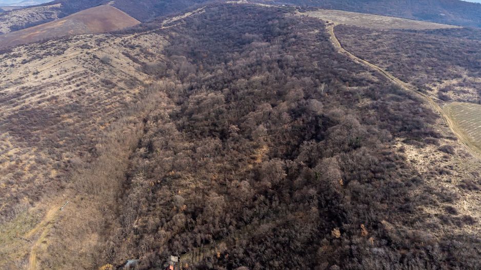 Teren în Ghioroc pe deal - Poză 4