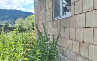 Casa/Vilă de vânzare Vatra Dornei/Suceava - Poză 14