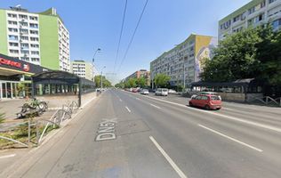 Tineretului, Dimitrie Cantemir, casa 2 camere + curte, metrou la 350 m