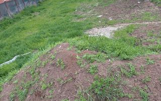 Teren intravilan cartier case noi 500mp- Giarmata - Poză 2