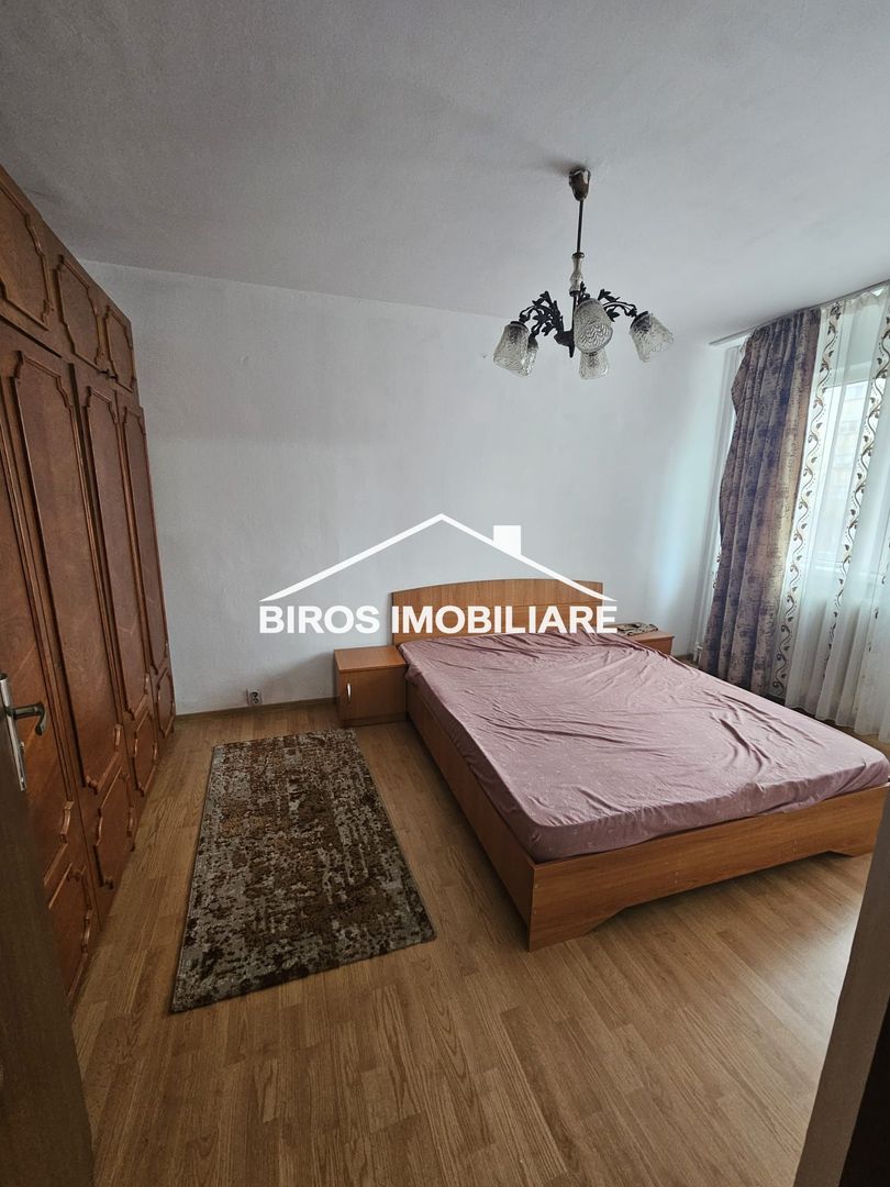 2 camere Profi - Valea Rosie - Poză 3