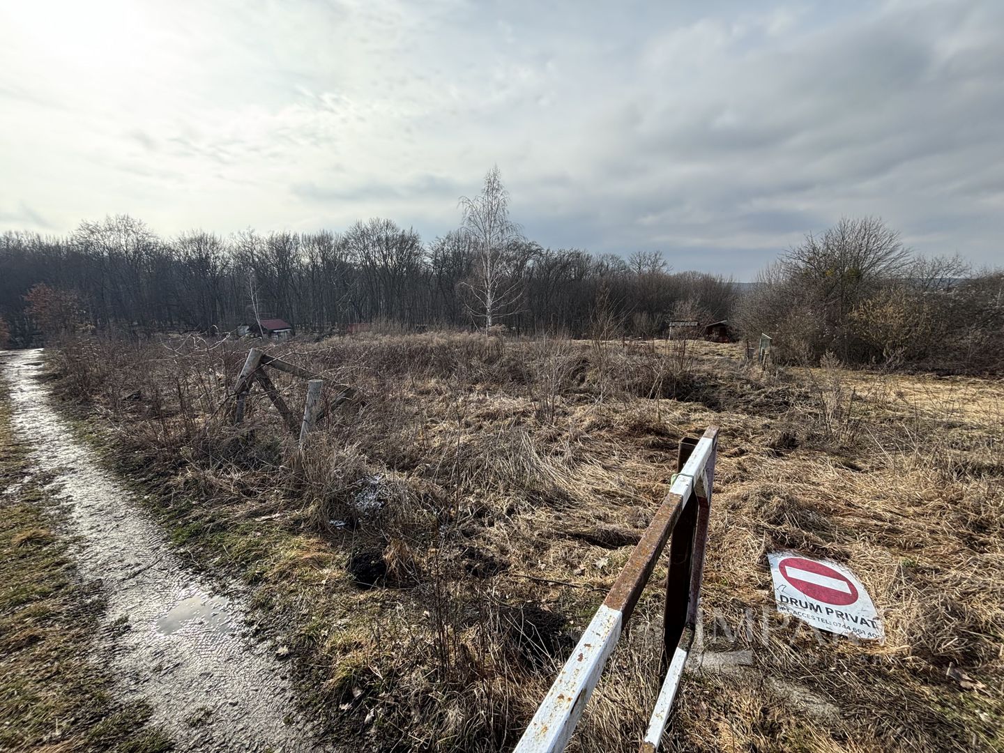 De vânzare două parcele de 3752 mp împreună- zona Făget - Poză 2