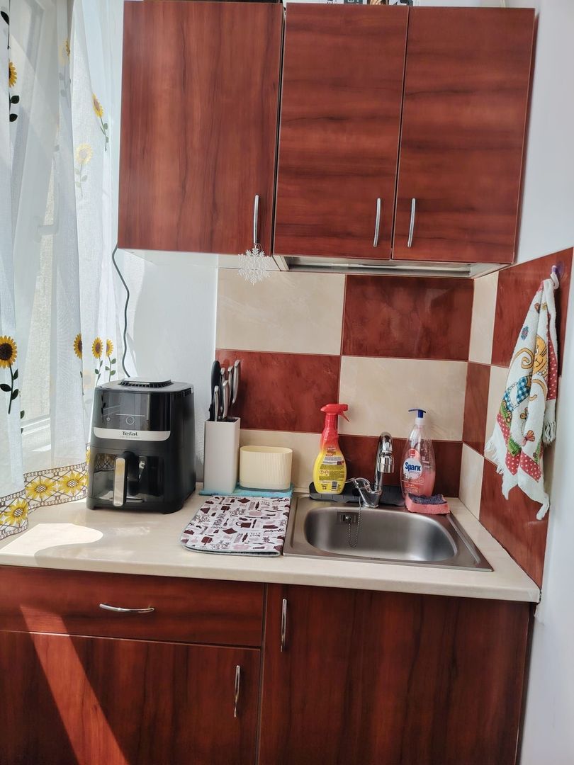 Apartament 2 camere de vânzare - Craiovița noua - Poză 7