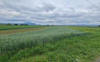 Teren Stupini Calea Feldioarei 4600 mp,22 euro/mp, front la asfalt - Poză 4