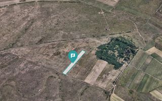 Teren extravilan de 10.000 mp - Poză 2