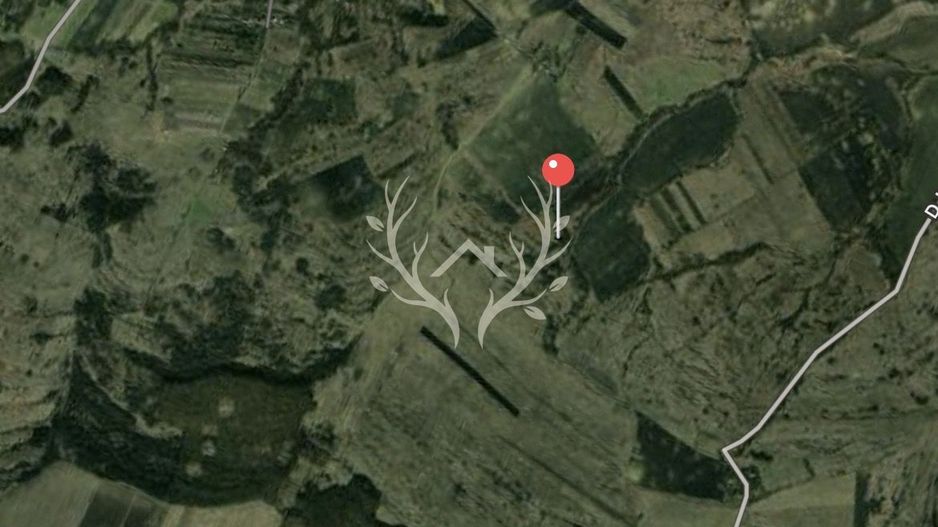 Teren intravilan de vanzare | 2.900 mp | Macicasu, com. Chinteni | La - Poză 3