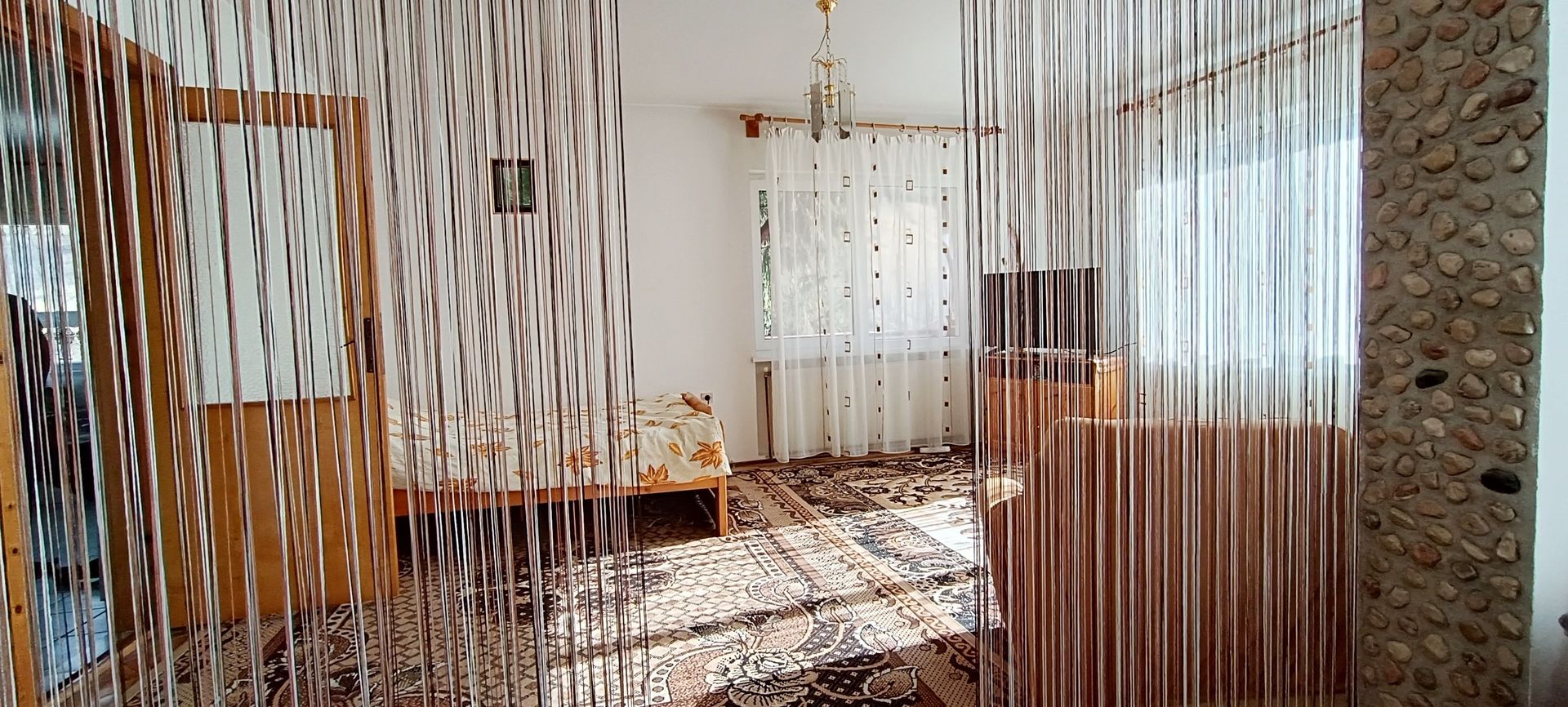 Casa si teren de 12000mp-Simon - Poză 27