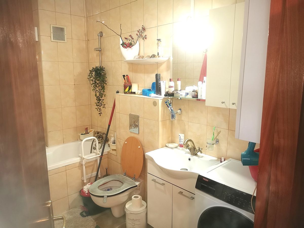 Apartament Plevnei / Orhideea - Poză 9