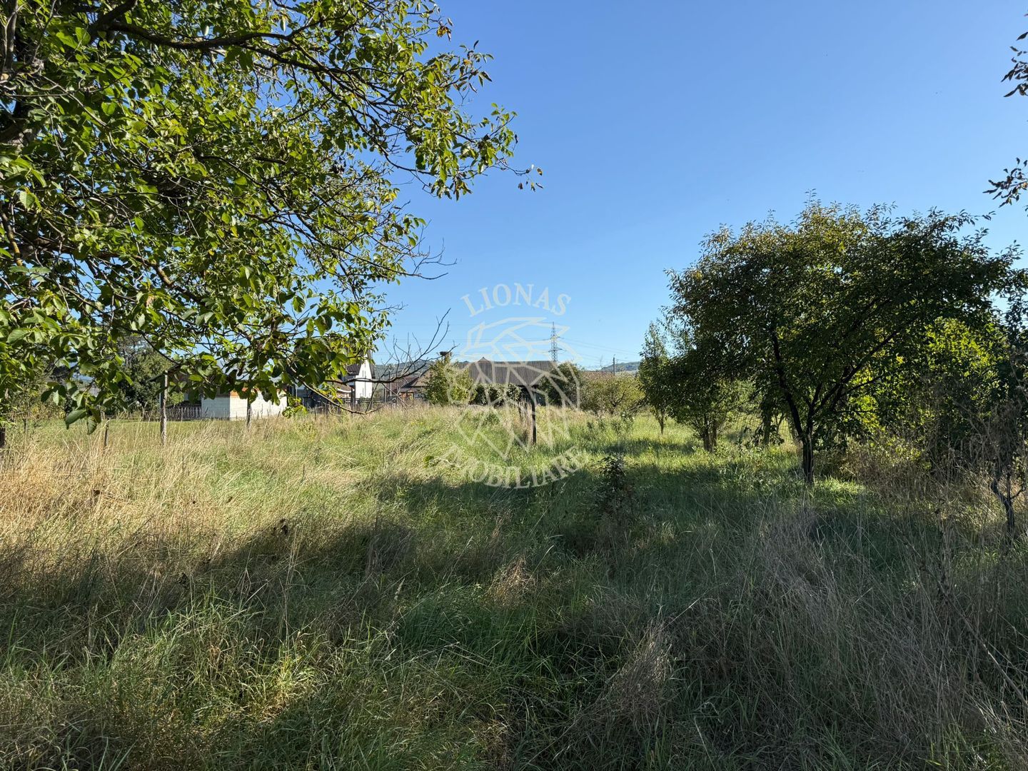 Teren intravilan 965 mp-imprejmuit-ideal casa-Livezile - Poză 5