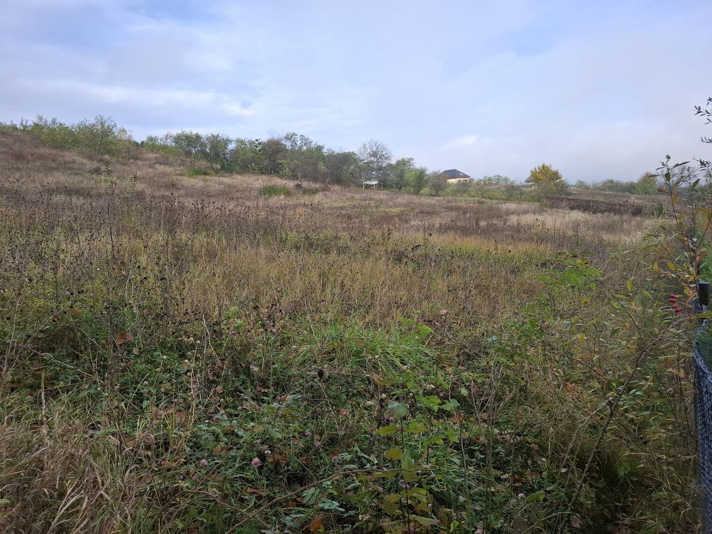 Teren intravilan de vânzare în Gârleni de Sus, Bacău – 6.000 mp - Poză 4