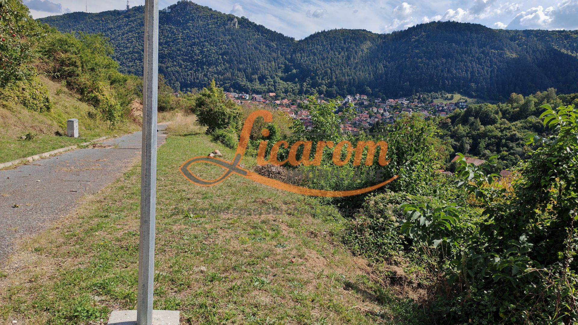 Teren Premium Drumul Poienii (Warthe)-5 Parcele de la 500 mp,270Eur/mp - Poză 3
