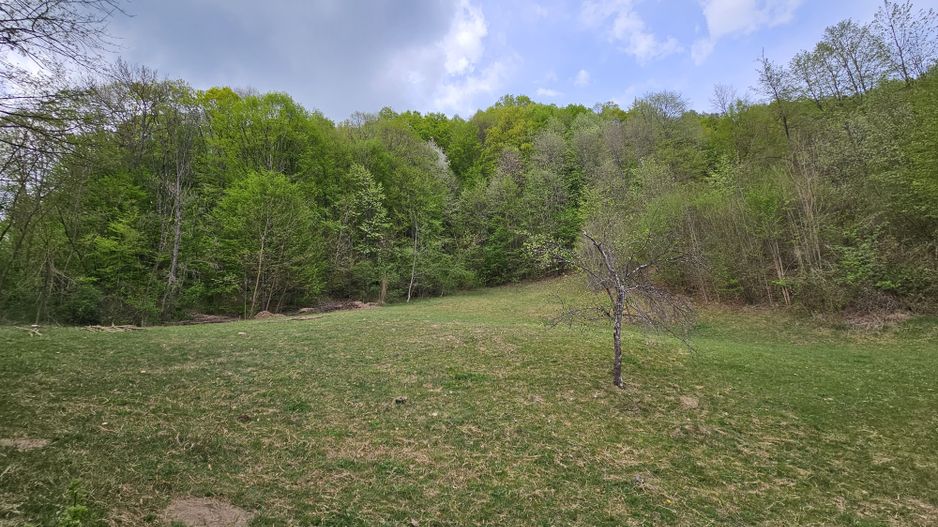 Teren intravilan 1454 mp la marginea padurii zona locuita de case! - Poză 1