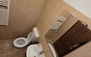 Garsoniera moderna, spatioasa, pet friendly, centrala, etaj 8, dressing generos - Poză 8
