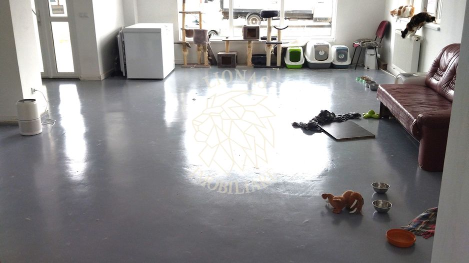 Spatiu comercial, parter, 147 mp, parcare, Zona Sanovil Viisoara - Poză 2