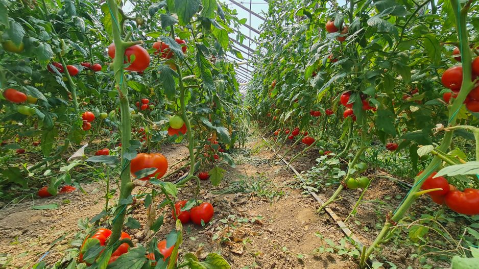 Afacere la cheie! Incasari din prima zi!!! - Poză 3