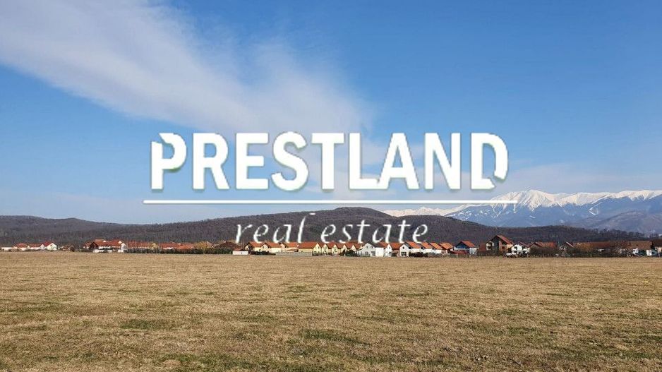 Teren extravilan-5.000 mp-Sura Mică. - Poză 2