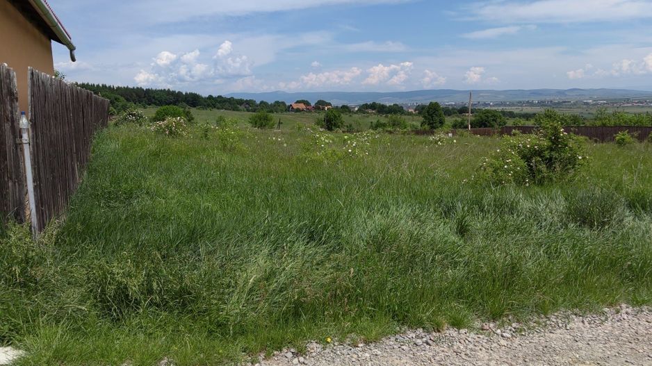 Teren intravilan 550 m² între Szalomer și Sîncraiu - Poză 2