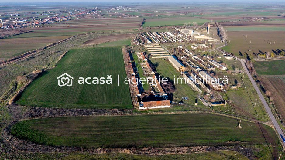 Ferma 1.15 HA lângă DN7 & Autostrada E68 – Nădlac | clădiri+utilități - Poză 3