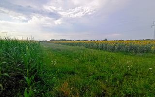 Teren extravilan de vânzare – 13 ari, deschidere la drum 7m - Poză 1