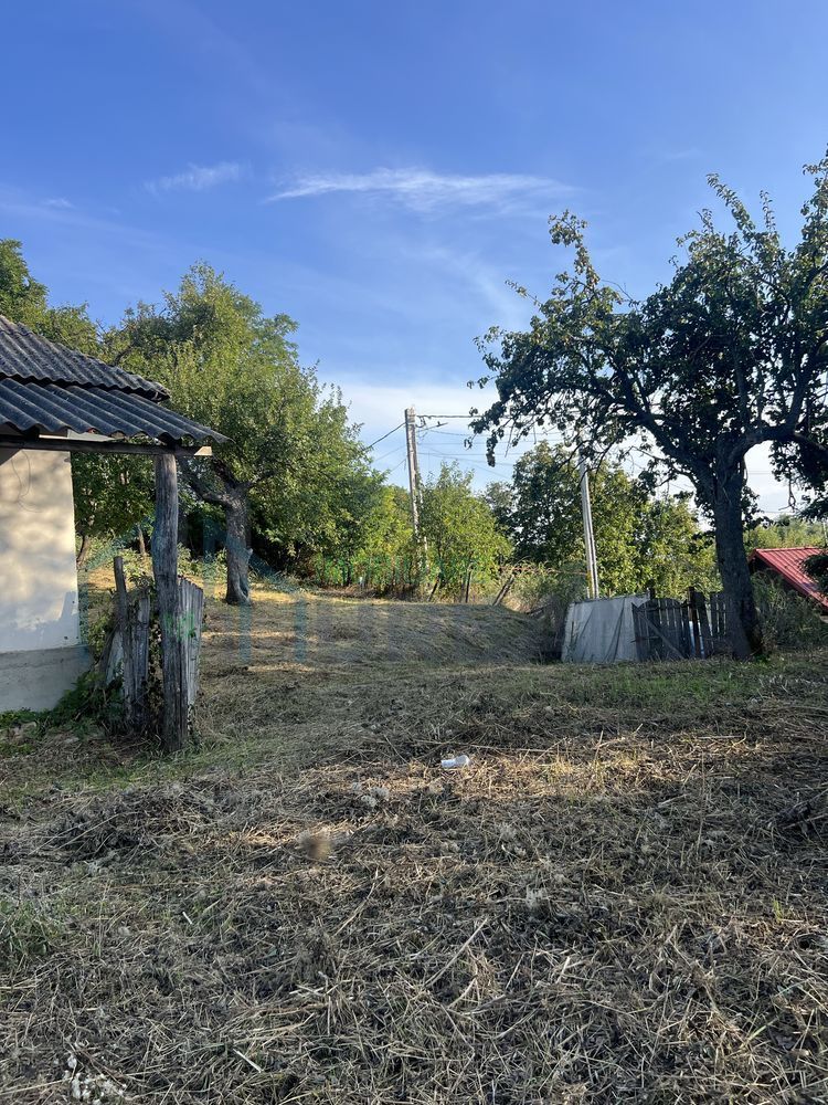 Teren intravilan 3003 mp cu casă bătrânească, fântână și curent electric în Dobrovat, Iași - Poză 5