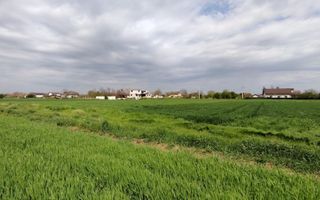 Intravilan pozitie excelenta - 15 minute de capitala - Poză 1