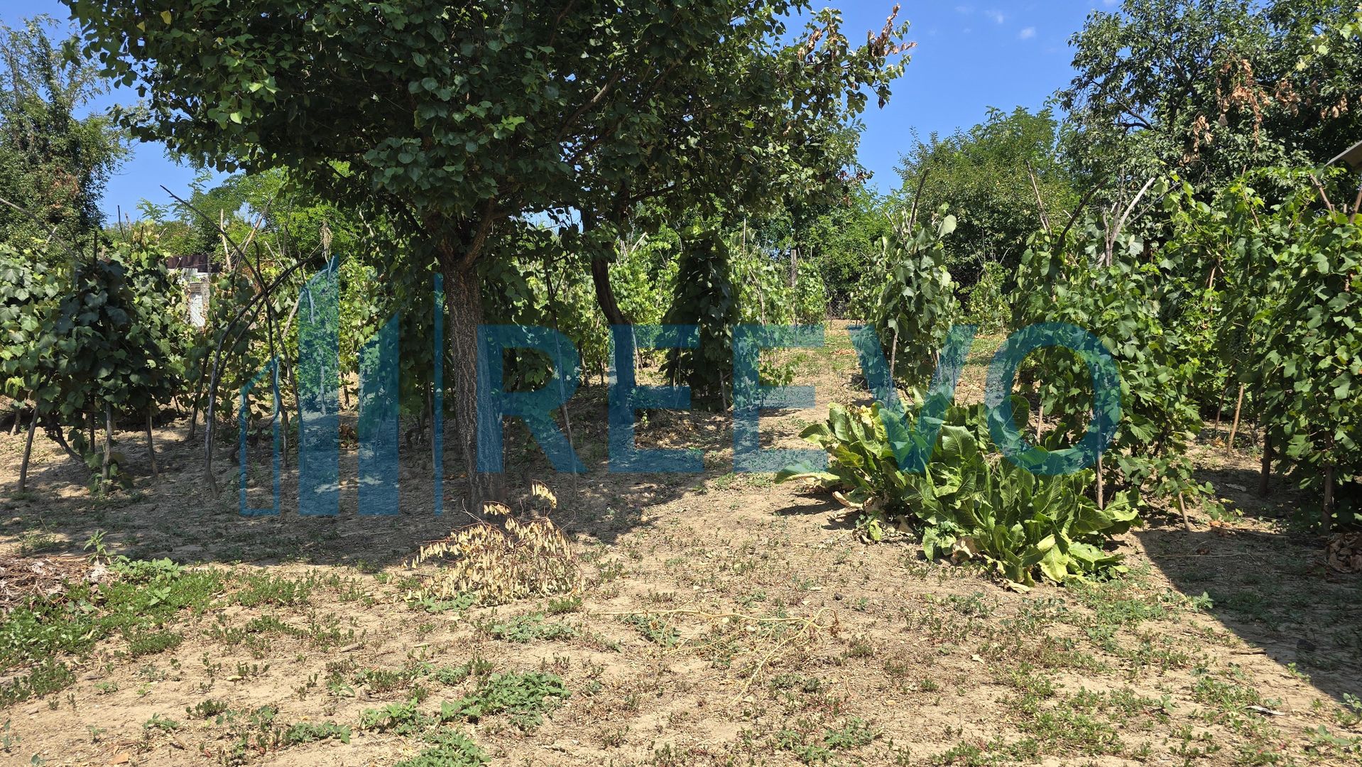 Casă de vânzare Sat. Cucova, Com. Valea Seacă - Poză 21