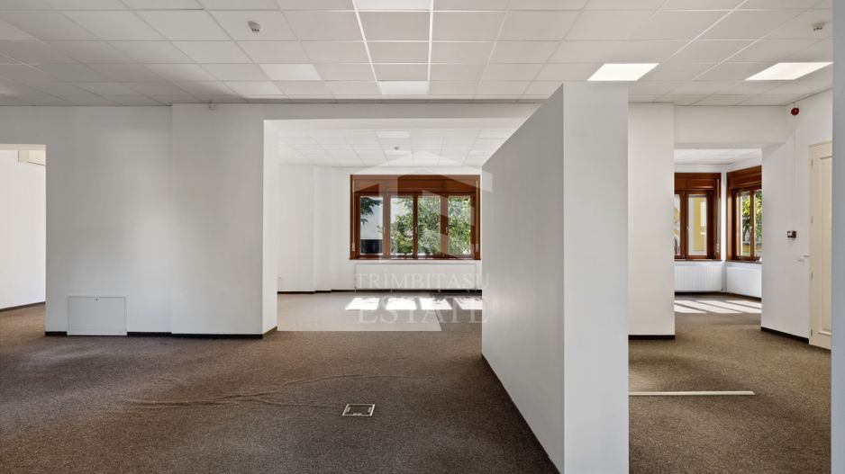 ULTRACENTRAL | Spatiu Comercial | Demisol + Parter 450mp | Impecabil - Poză 2