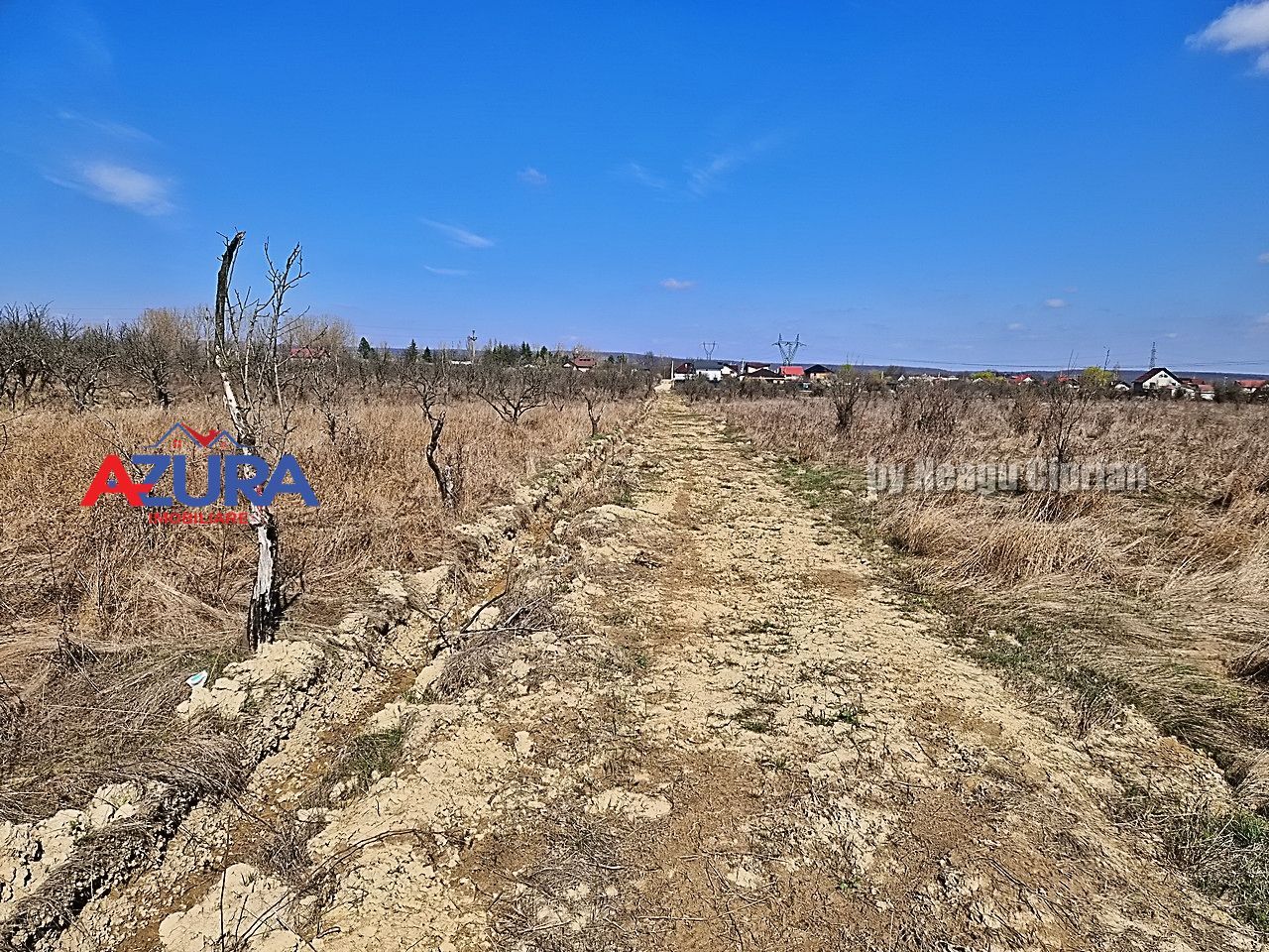AZURA IMobiliare - Teren Iefin Bascov 3km de Giratoriu - Poză 8