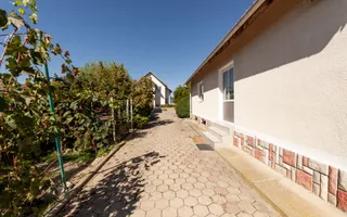 Casa visurilor cu 4000 mp livada roditoare si gradina Darmanesti-Arges - Poză 12
