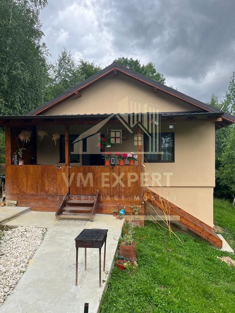 CASA 3 CAMERE, TEREN 3100 MP, ALBESTI DE MUSCEL, ARGES - Poză 2