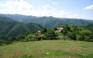 Proprietate cu 60000 mp pamant la pret de apartament - Poză 5