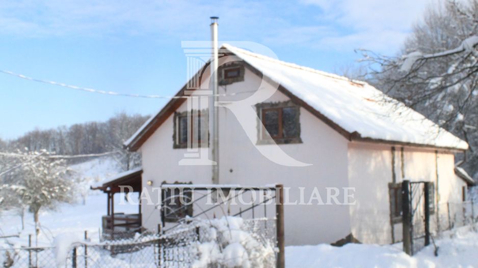 Proprietate rară | 4458 mp teren intravilan | Casă solidă, natură, liniște totală. | Bratca, Bihor. - Poză 44