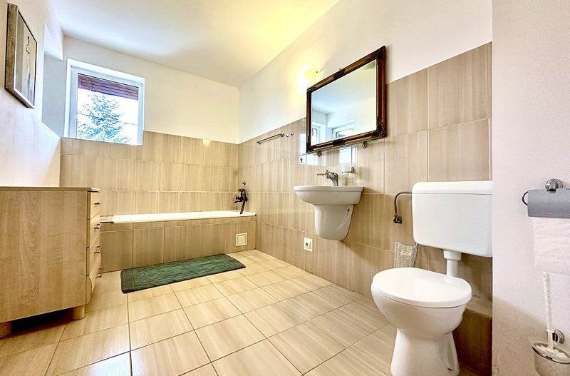 Casa de inchiriat - intrarea în Dumbravita - Poză 21