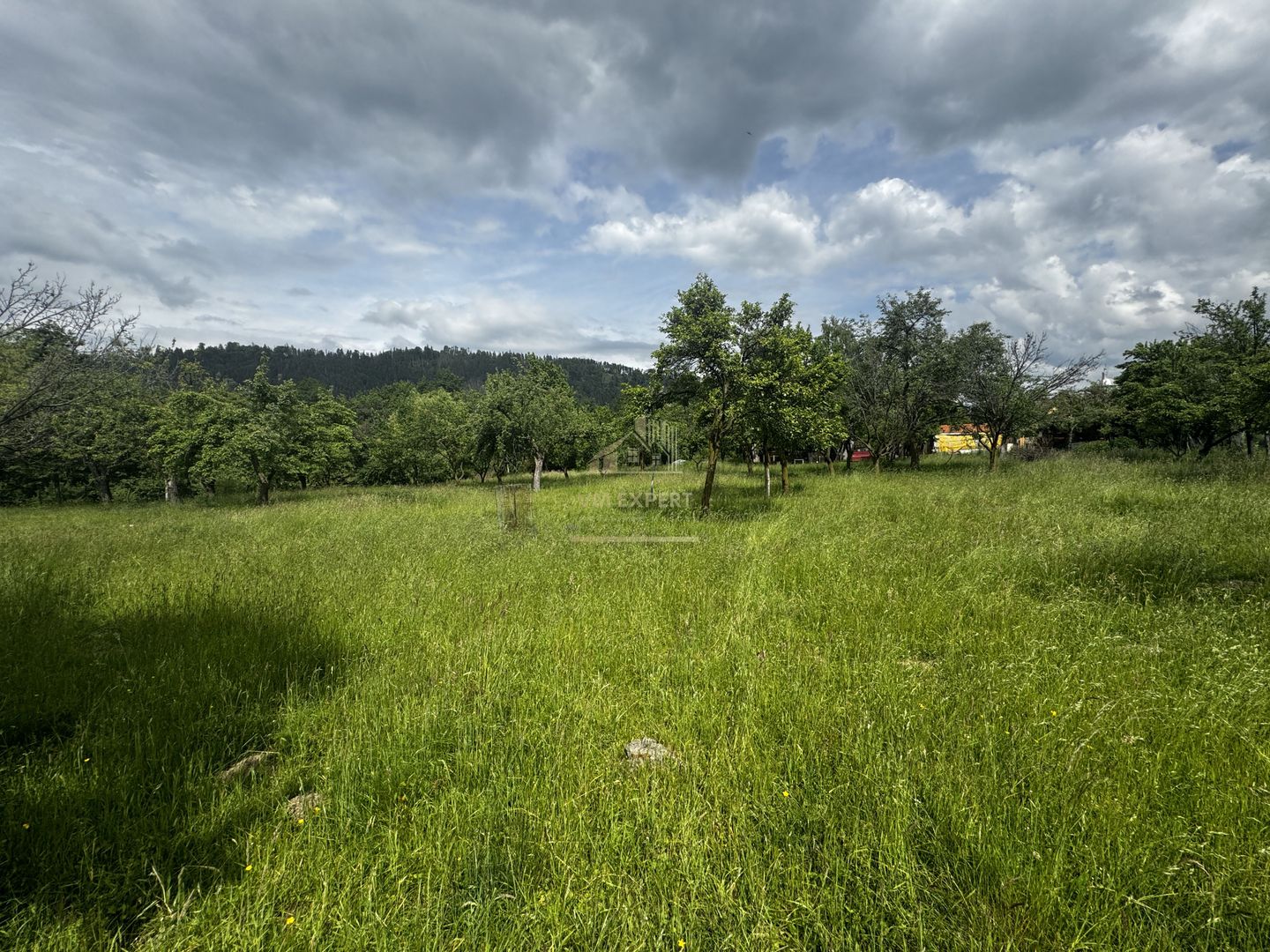 TEREN INTRAVILAN 4600 MP, VOINESTI, LERESTI, ARGEȘ - Poză 2