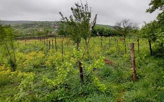 Casă cu grădină și anexe în Hoișești, la 20 minute de Iași - Poză 3